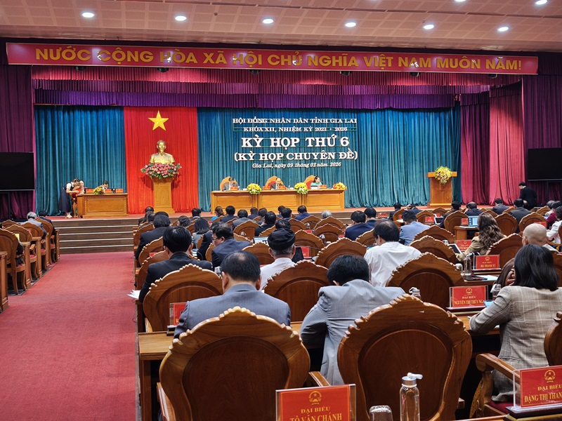 HĐND tỉnh Gia Lai th&ocirc;ng qua Nghị quyết miễn nhiệm chức vụ Ph&oacute; chủ tịch UBND tỉnh v&agrave; bầu Trưởng ban Ban D&acirc;n tộc HĐND tỉnh.