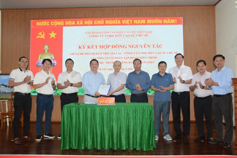 Công ty TNHH MTV Cao su Chư Sê, Khu công nghiệp Nam Pleiku đã tổ chức ký kết hợp đồng nguyên tắc cho thuê hạ tầng đất KCN Nam Pleiku với Công ty CP Tập đoàn Tiến Thịnh