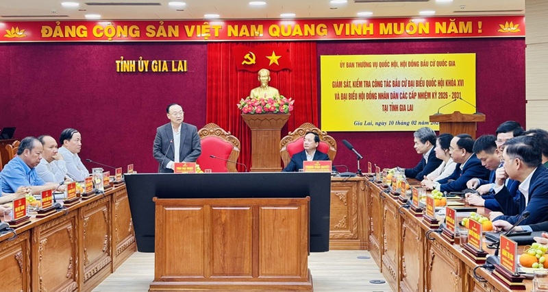 B&iacute; thư Tỉnh ủy Gia Lai Th&aacute;i Đại Đọc ph&aacute;t biểu tại Đo&agrave;n gi&aacute;m s&aacute;t, kiểm tra của Ủy ban bầu cử Quốc hội, Hội đồng Bầu cử quốc gia