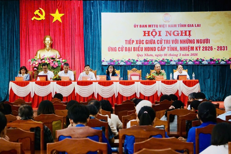 ứng cử đại biểu HĐND tỉnh khóa XIII, nhiệm kỳ 2026 - 2031 tại đơn vị bầu cử số 1,