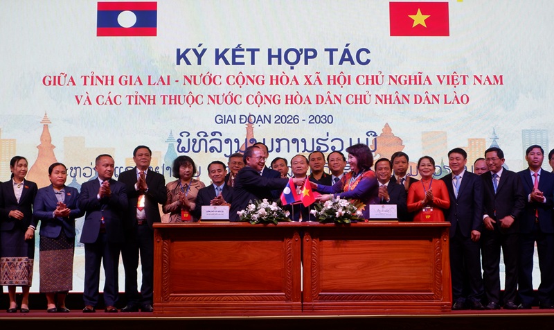 b&agrave; Đồng Thị &Aacute;nh, Chủ tịch HĐQT Tổng c&ocirc;ng ty Pisico B&igrave;nh Định