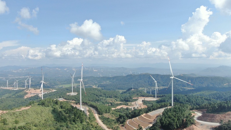 C&ocirc;ng ty Cổ phần điện gi&oacute; T&acirc;n Linh