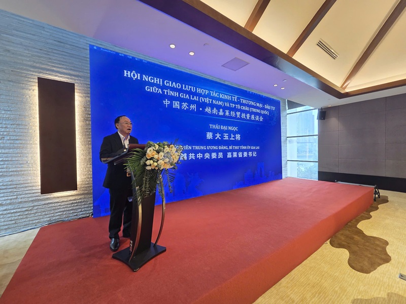 hái Đại Ngọc, Ủy viên Ban Chấp hành Trung ương Đảng, Bí thư Tỉnh ủy Gia Lai