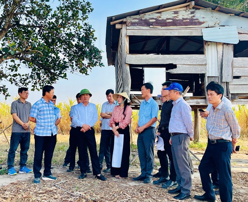 Chủ tịch UBND tỉnh Phạm Anh Tuấn (bìa trái) kiểm tra địa điểm dự kiến triển khai Dự án khu nhà máy sản xuất thức ăn chăn nuôi tại xã Pờ Tó.