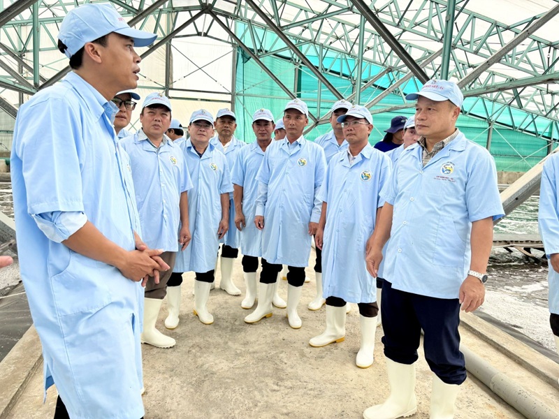 khảo s&aacute;t khu nu&ocirc;i t&ocirc;m c&ocirc;ng nghệ cao của C&ocirc;ng ty TNHH Việt &Uacute;c