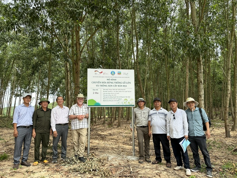 Một trong c&aacute;c Dự &aacute;n trồng rừng do C&ocirc;ng ty TNHH L&acirc;m nghiệp S&ocirc;ng K&ocirc;n thực hiện. Ảnh: C&ocirc;ng ty L&acirc;m nghiệp S&ocirc;ng K&ocirc;n.