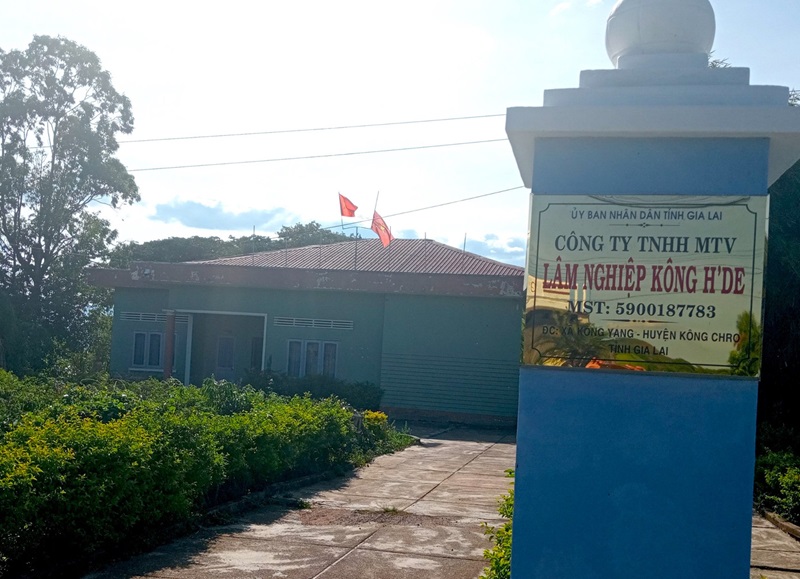 C&ocirc;ng ty TNHH MTV L&acirc;m nghiệp K&ocirc;ng H&rsquo;de nằm trong diệp s&aacute;p nhập. Ảnh: T.L.