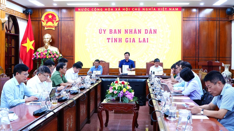 &Ocirc;ng Nguyễn Tuấn Thanh, Ph&oacute; chủ tịch UBND tỉnh Gia Lai Sở t&agrave;i ch&iacute;nh c&oacute; tr&aacute;ch nhiệm l&agrave;m việc trực tiếp với c&aacute;c sở, ng&agrave;nh, địa phương v&agrave; nh&agrave; đầu tư để nắm chắc t&igrave;nh h&igrave;nh, x&aacute;c định r&otilde; kh&oacute; khăn, vướng mắc, nguy&ecirc;n nh&acirc;n v&agrave; tr&aacute;ch nhiệm; đề xuất giải ph&aacute;p xử l&yacute; cụ thể trước khi b&aacute;o c&aacute;o UBND tỉnh.