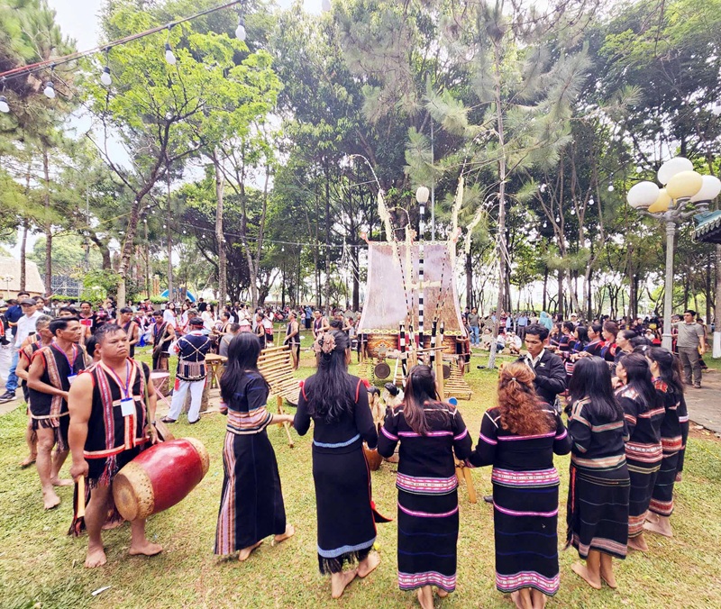 Chương trình Festival cồng chiêng kết hợp Tuần lễ Hoa Dã quỳ – Núi lửa Chư Đang Ya năm 2026 tại Gia Lai sẽ diễn ra từ ngày 30/10 đến ngày 8/11/2026