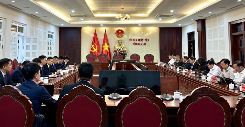 UBND tỉnh Gia Lai làm việc với đại diện Tập đoàn Muyuan đề xuất và kiến nghị của Tập đoàn
