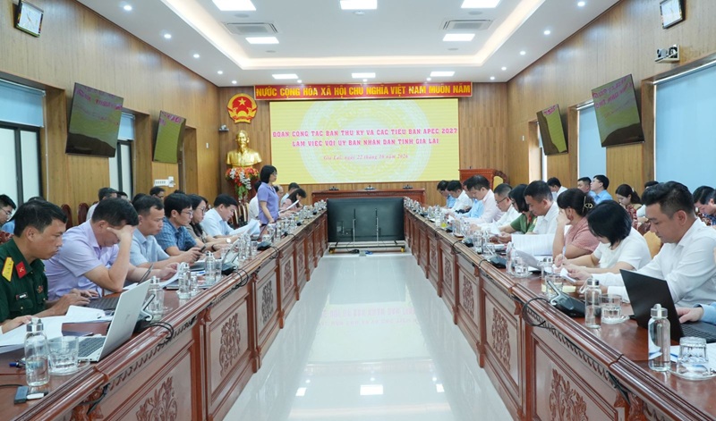 Bà Nguyễn Thị Thanh Lịch, Phó chủ tịch UBND tỉnh Gia Lai tặng quà lưu niệm cho Chủ tịch Hội hữu nghị Nhật - Việt.các điều kiện tổ chức Hội nghị ISOM APEC 2027đoàn công tác Ban Thư ký và các Tiểu ban APEC 2027