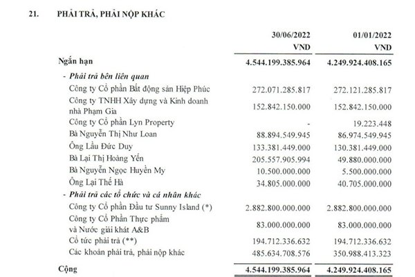 Công ty Quốc Cường Gia Lai nợ bà Lại Thị Hoàng Yến 205,55 tỷ đồng