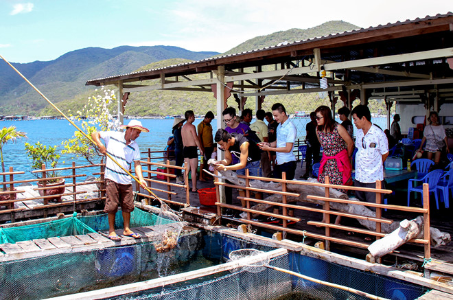 TP Nha Trang sẽ thiết lập lại khu vực nuôi trồng thủy sản khu vực vịnh Nha Trang để phát huy tối đa lợi thế của ngành du lịch