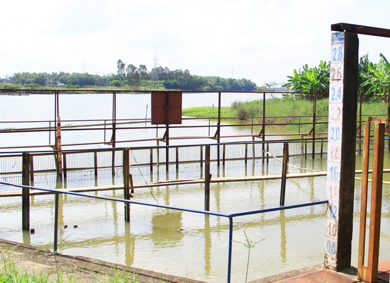 Sở TN&MT Đà Nẵng đã có thông báo về việc nguồn nước đầu vào của nhà máy nước lớn đã bị nhiễm mặn cấp, nguy cơ thiếu nước sinh hoạt trong thời gian tới.