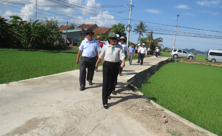Thủ tướng công nhận huyện Tây Hòa, Phú Yên đạt chuẩn nông