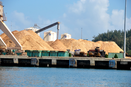 Xuất khẩu dăm gỗ tại cụm cảng nước sâu Dung Quất