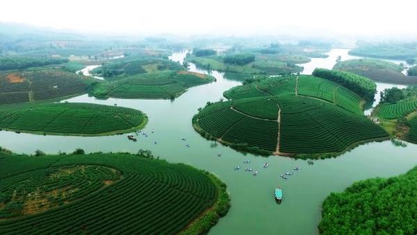 Đảo Chè (Thanh Chương) là một trong những địa danh nổi tiếng cho khách du lịch tìm đến tại Nghệ An