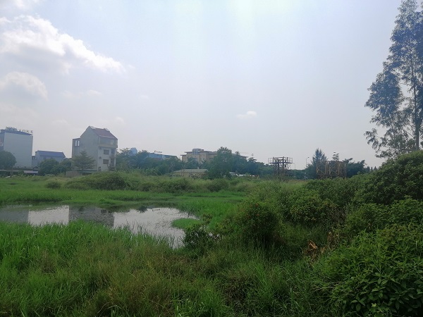 Khu đất Dự án Trung tâm thương mại, dịch vụ và căn hộ tại TP Hà Tĩnh trước đây cấp cho Công ty Cổ phần TECCO Hà Tĩnh nhưng không được đầu tư như cam kết.