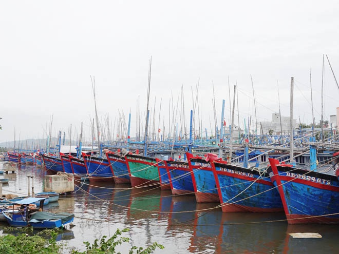 khu vực đầm Đề Gi và Tam Quan là khu neo đậu tránh trú bão cho tàu cá cấp vùng kết hợp cảng cá Đề Gi và Tam Quan.