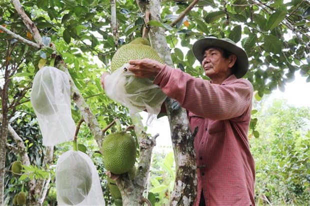 Sau hơn 10 năm thực hiện Chương trình mục tiêu Quốc gia xây dựng nông thôn mới, nhiều vùng quê Phú Yên đã “khoác lên mình tấm áo mới”, đời sống vật chất, tinh thần của nhân dân được nâng lên rõ rệt. Đây là thành quả nổ lực không ngừng của cả hệ thống chính trị, sự đồng lòng của người dân trong tỉnh. 