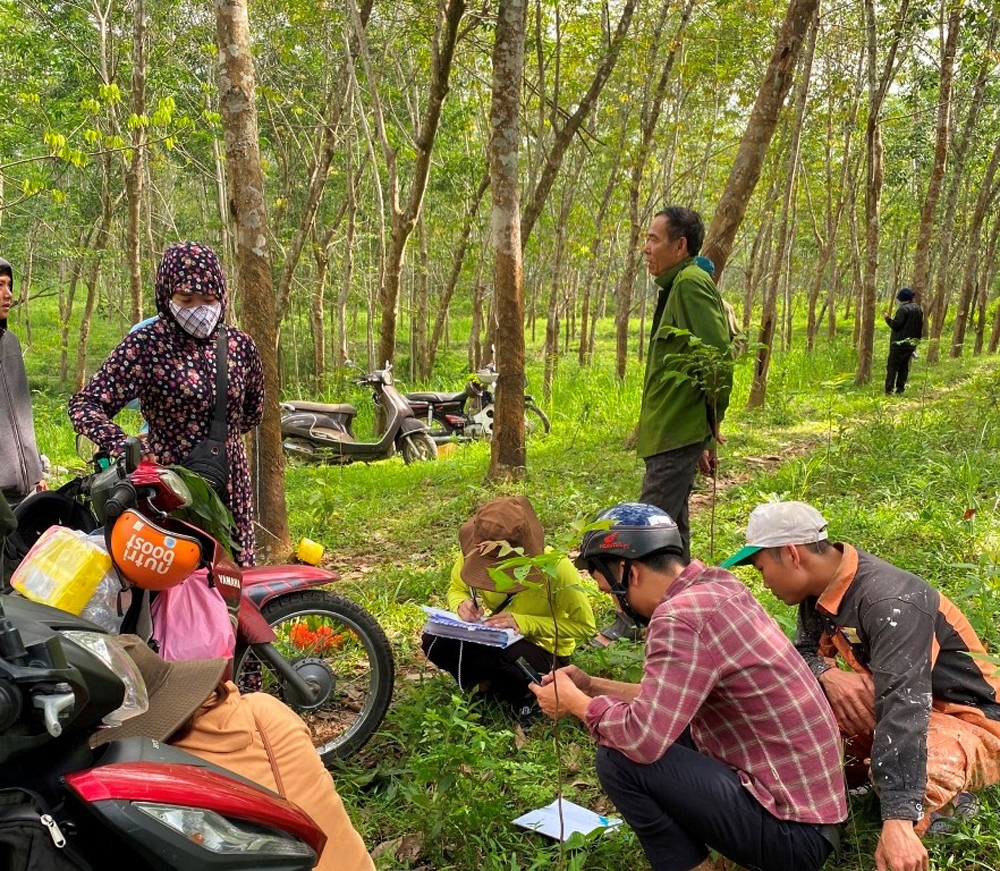 Cán bộ cùng người dân (huyện Vĩnh Linh) đang tiến hành kiểm đếm cây trên đất thuộc vùng giải phóng mặt bằng Dự án đường cao tốc Bắc - Nam.