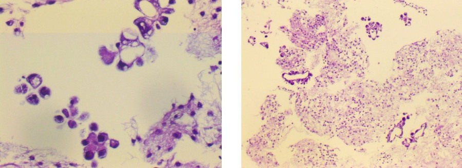 image_1776071868887 (2).jpg