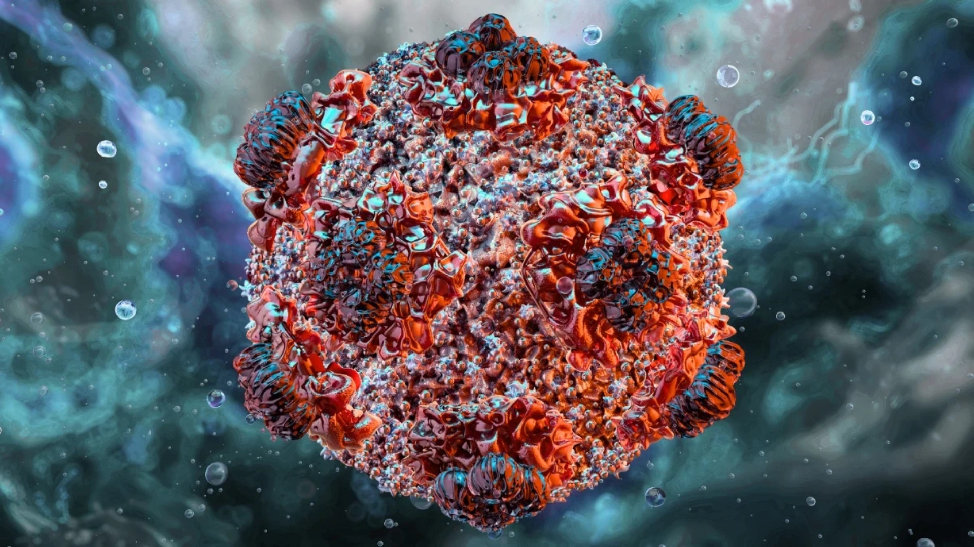 virus_hanta_nguy_hiem_the_nao_bo_y_te_khuyen_cao_moi_nhat_1_16a12642c6.jpg