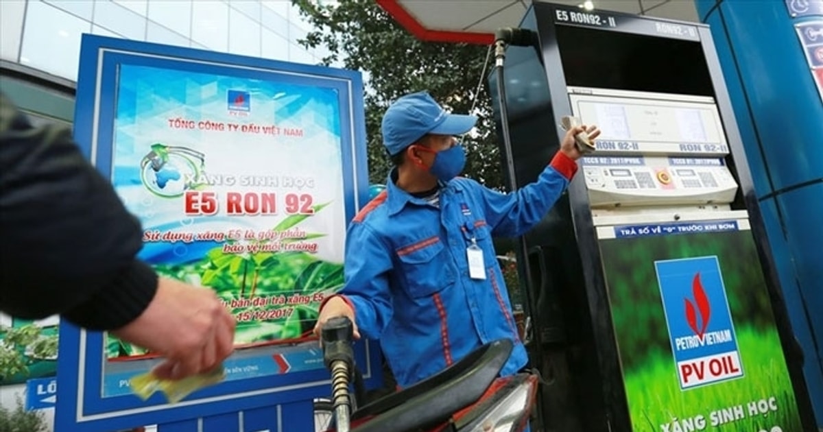 E10.jpg