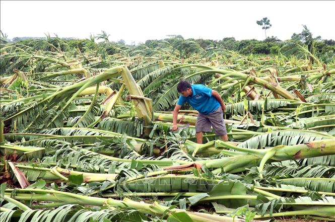 thiet-hai-sau-bao-19092024-02.jpg