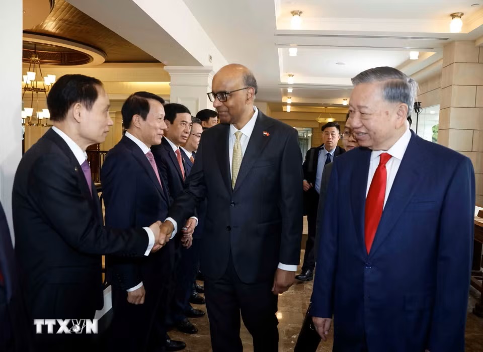 le-don-tong-bi-thu-chu-tich-nuoc-to-lam-va-phu-nhan-tham-cap-nha-nuoc-toi-singapore-2905-10.jpg