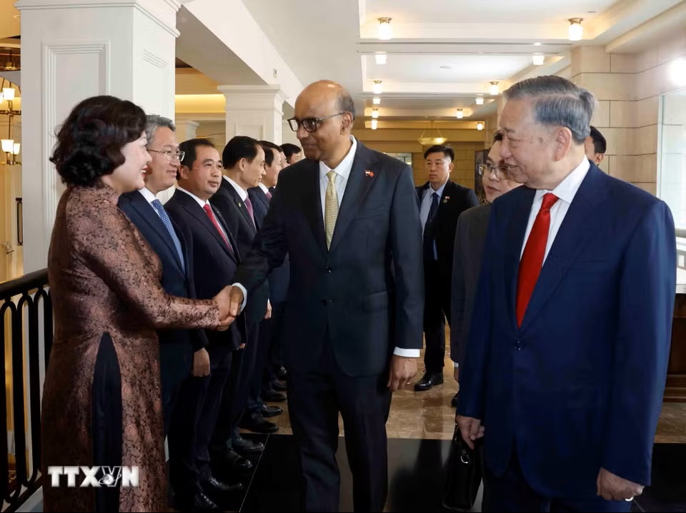 le-don-tong-bi-thu-chu-tich-nuoc-to-lam-va-phu-nhan-tham-cap-nha-nuoc-toi-singapore-2905-11.jpg