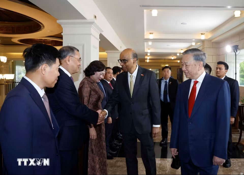 le-don-tong-bi-thu-chu-tich-nuoc-to-lam-va-phu-nhan-tham-cap-nha-nuoc-toi-singapore-2905-12.jpg