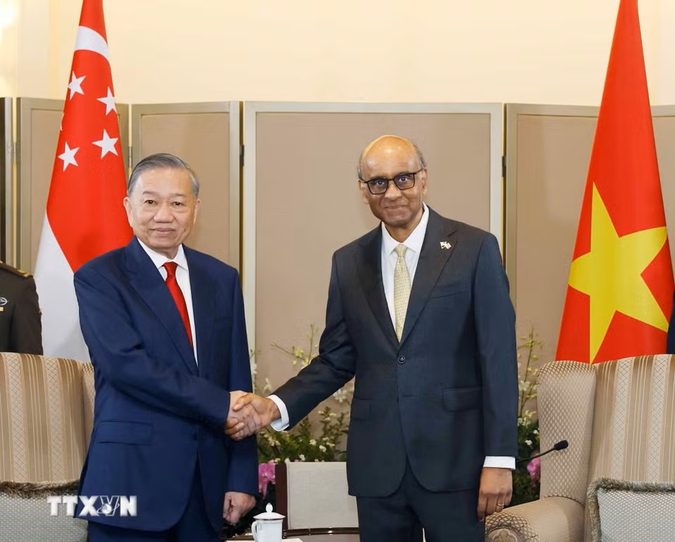 le-don-tong-bi-thu-chu-tich-nuoc-to-lam-va-phu-nhan-tham-cap-nha-nuoc-toi-singapore-2905-13 (1).jpg