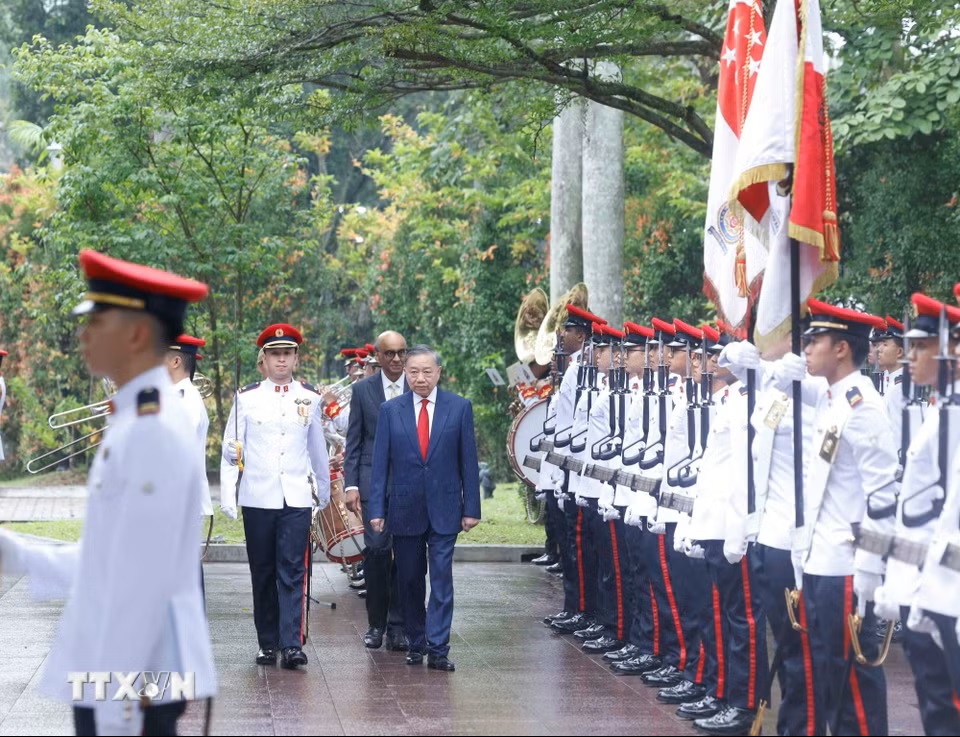 le-don-tong-bi-thu-chu-tich-nuoc-to-lam-va-phu-nhan-tham-cap-nha-nuoc-toi-singapore-2905 (1).jpg
