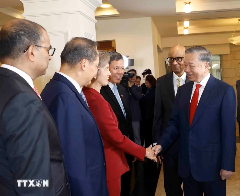 le-don-tong-bi-thu-chu-tich-nuoc-to-lam-va-phu-nhan-tham-cap-nha-nuoc-toi-singapore-2905-4.jpg