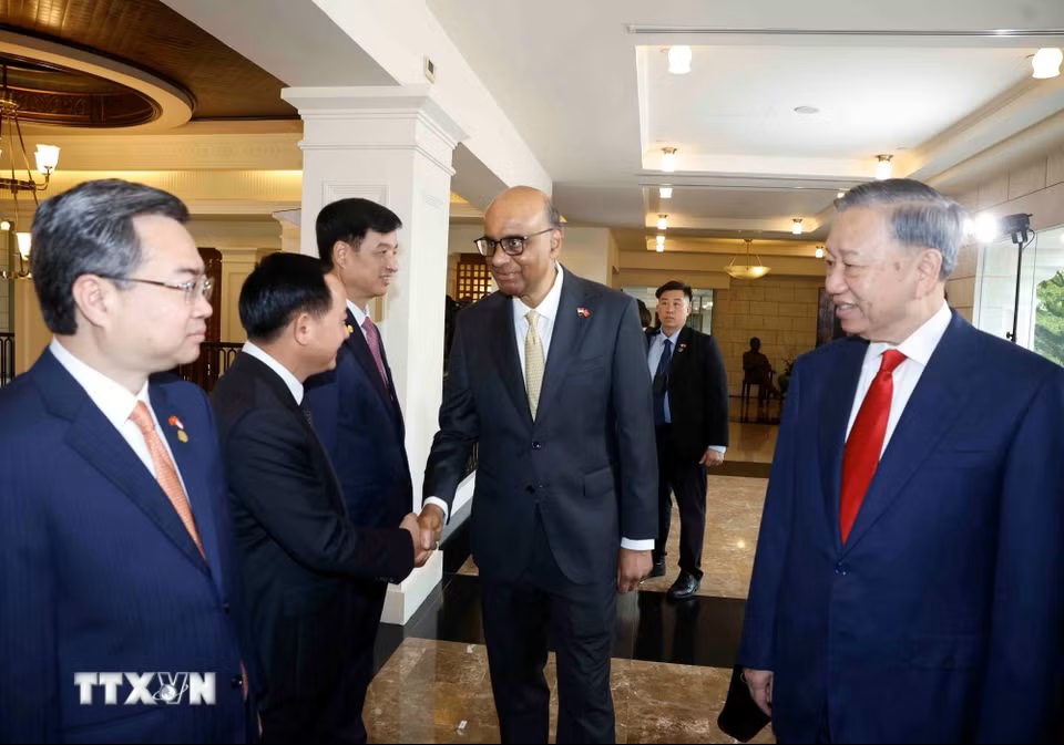 le-don-tong-bi-thu-chu-tich-nuoc-to-lam-va-phu-nhan-tham-cap-nha-nuoc-toi-singapore-2905-7.jpg