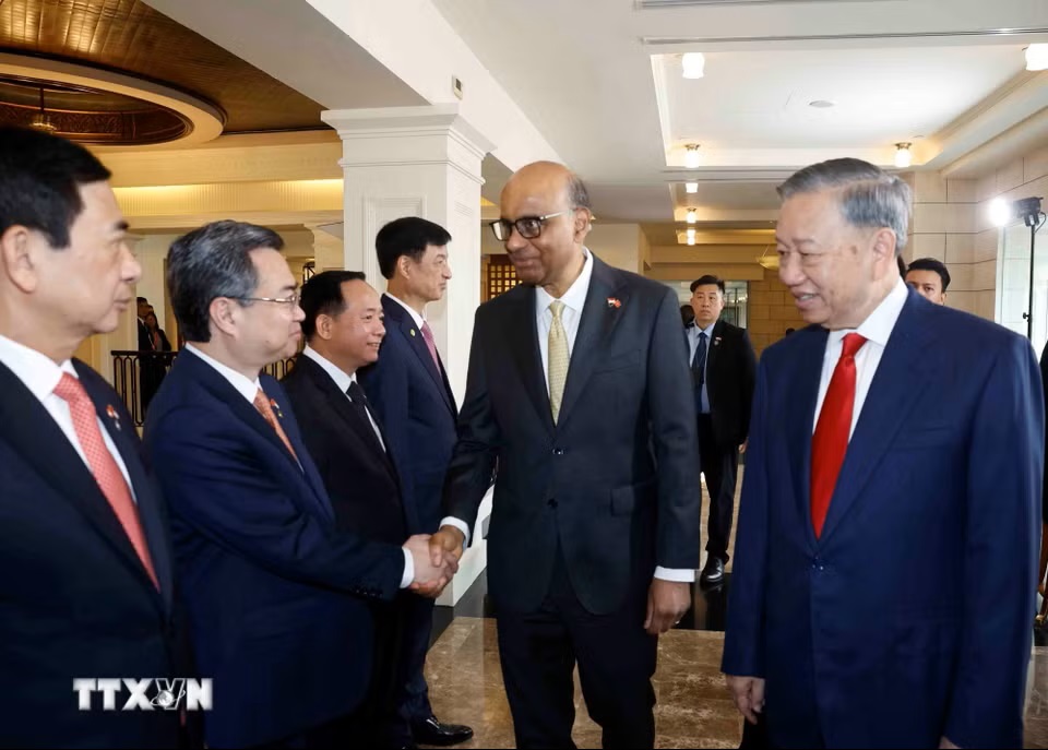 le-don-tong-bi-thu-chu-tich-nuoc-to-lam-va-phu-nhan-tham-cap-nha-nuoc-toi-singapore-2905-8.jpg