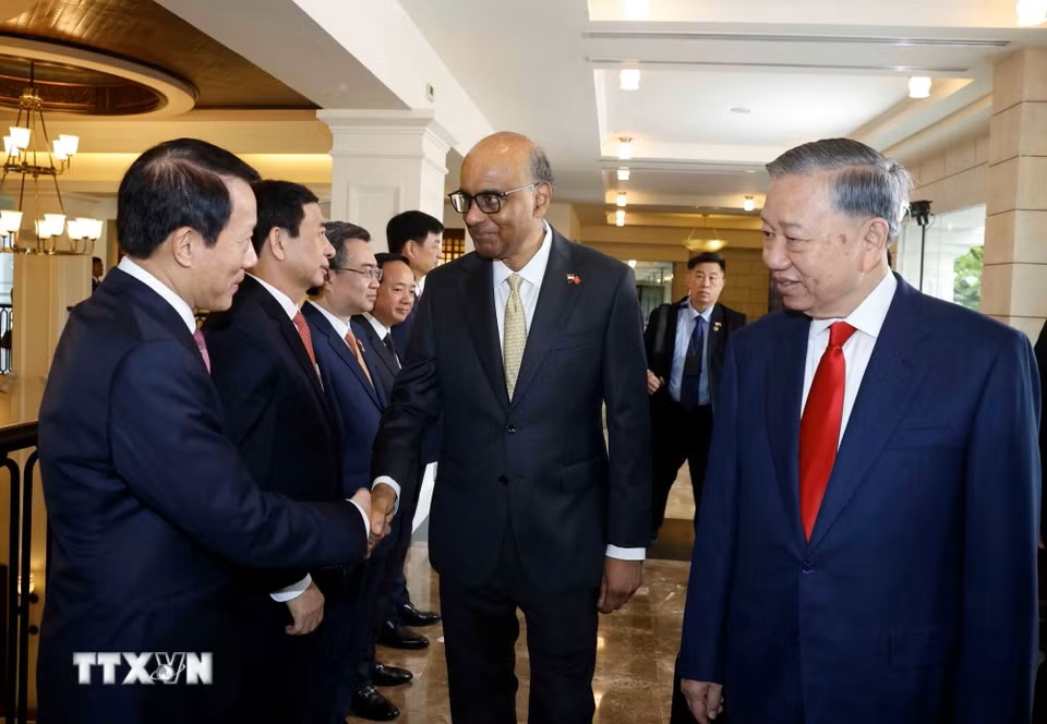 le-don-tong-bi-thu-chu-tich-nuoc-to-lam-va-phu-nhan-tham-cap-nha-nuoc-toi-singapore-2905-9.jpg