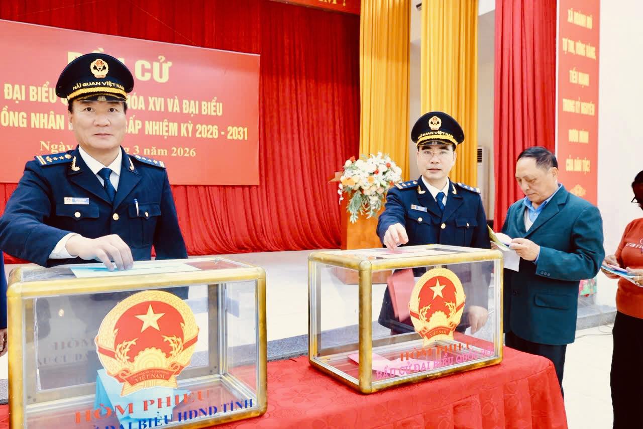 652202073_1537458914619862_9147846577473613764_n.jpg 652202073_1537458914619862_9147846577473613764_n.jpg