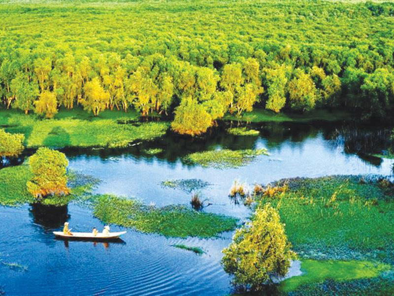 Vườn Quốc gia Tr&agrave;m Chim, tỉnh Đồng Th&aacute;p.jpg