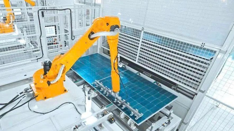 IMG_8971.jpeg IMG_8971.jpeg