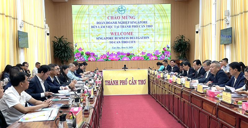 Quang cảnh buổi l&agrave;m việc.jpg