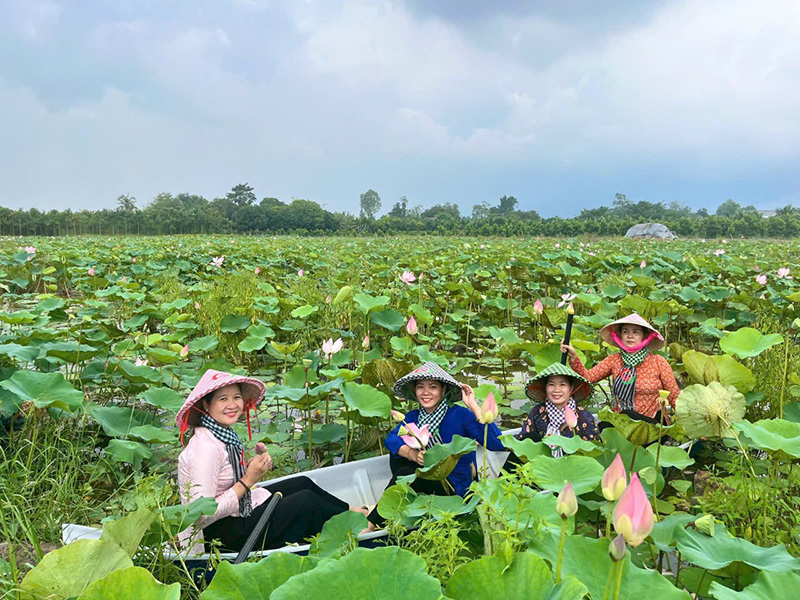 Du khách trải nghiệm du lịch Đồng Sen tại Khu Văn hóa du lịch Phương Nam.jpg Du khách trải nghiệm du lịch Đồng Sen tại Khu Văn hóa du lịch Phương Nam.jpg