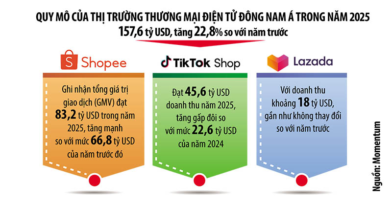 trang8.jpg