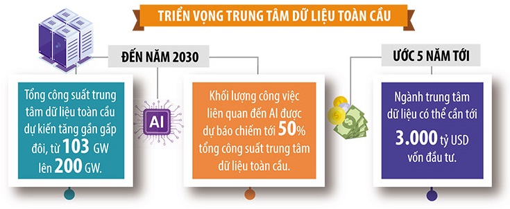 trang8.jpg