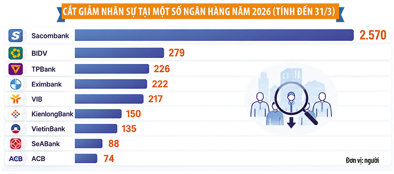 trang7_curves.jpg