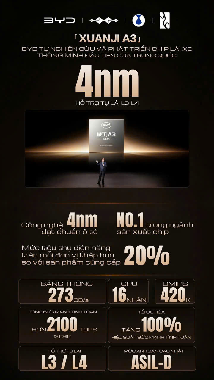 chip1.jpg