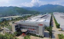 Nghịch lý doanh nghiệp ngành sản xuất săm lốp