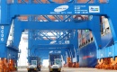 Hồ tiêu bị “tắc” đường xuất khẩu sang EU