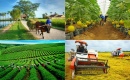 Hà Nội ban hành quy định kiểm định dịch vụ công nông nghiệp